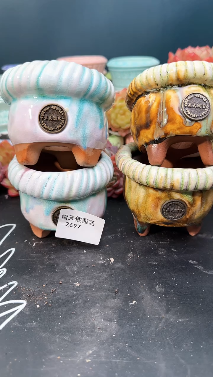 2  697景天盆 4个 默认微瑕