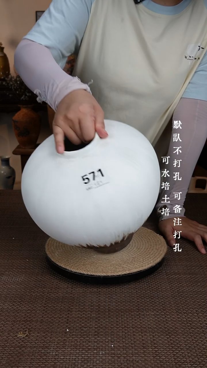 摆件571景德镇陶瓷花瓶