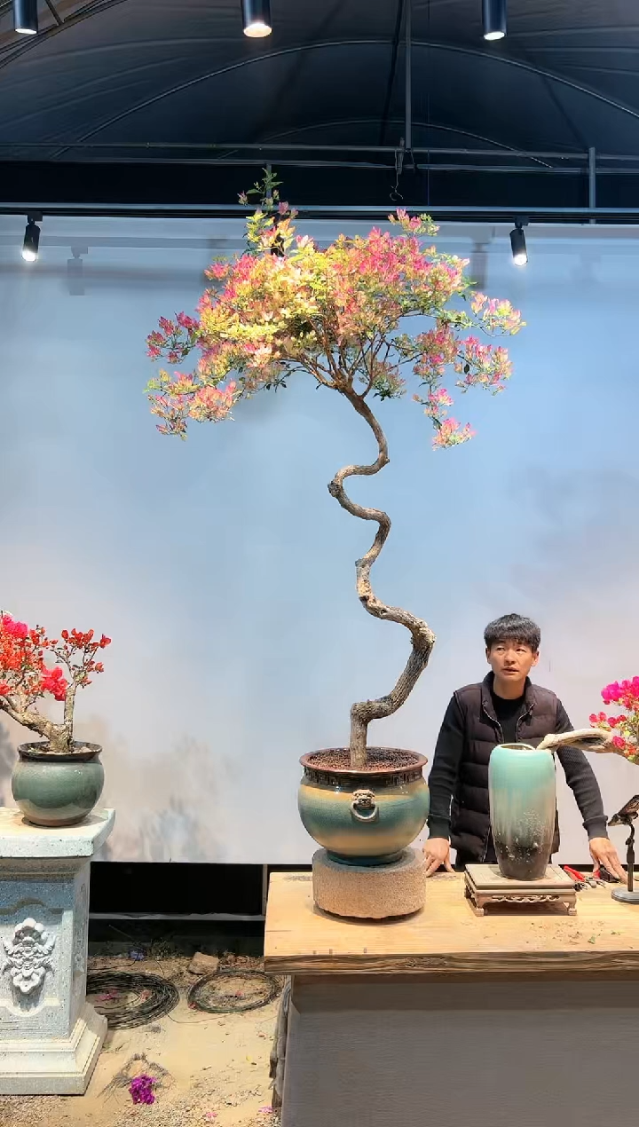 【闪购商品】aa912