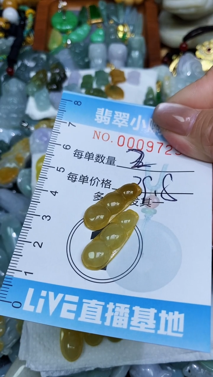 【闪购商品】翡翠颈饰未镶嵌闪购0009729