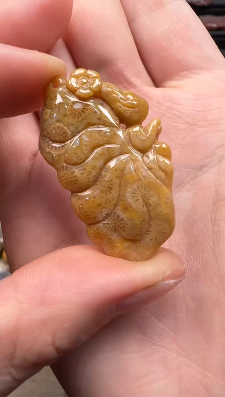 【闪购商品】硅化珊瑚（珊瑚玉）颈饰未镶嵌654