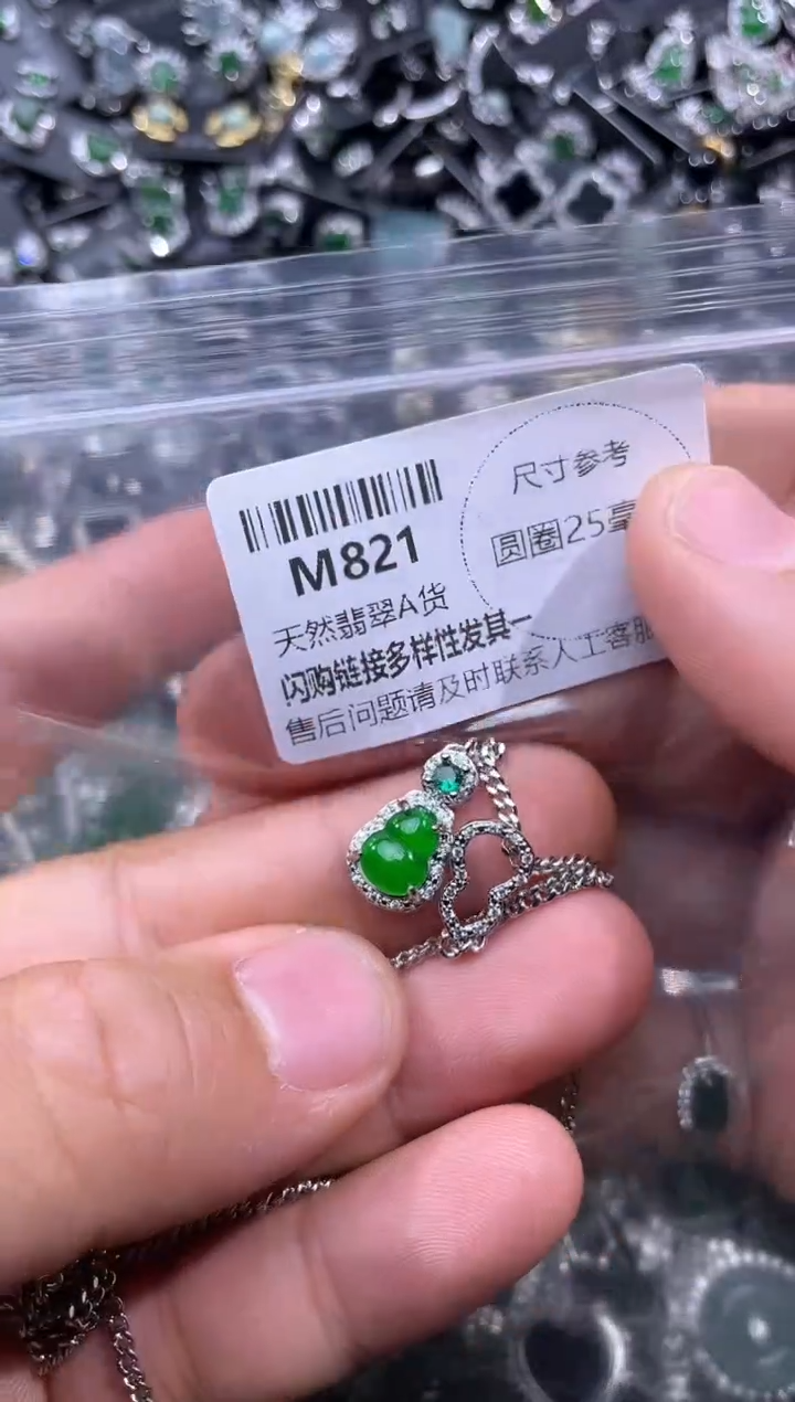 【闪购商品】翡翠颈饰未镶嵌M821项链