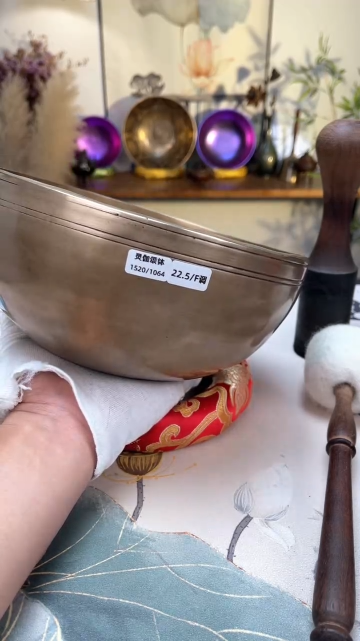 【闪购商品】灵伽口径22.5CM-F调（无配件）