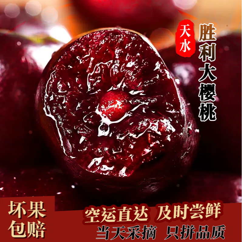 【光果胜利】【省外拍】现摘天水头茬露天胜利大樱桃车厘子冷链空运