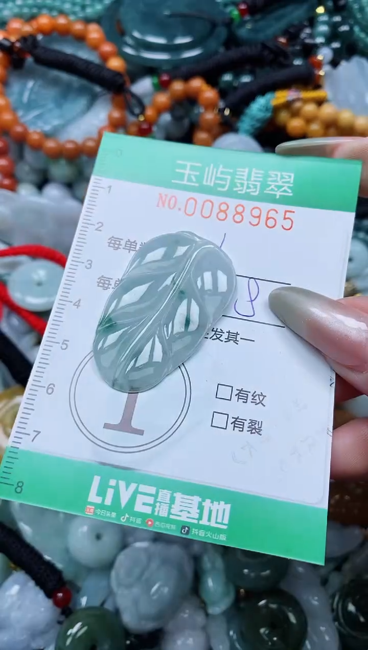 【闪购商品】翡翠颈饰未镶嵌闪购0088965