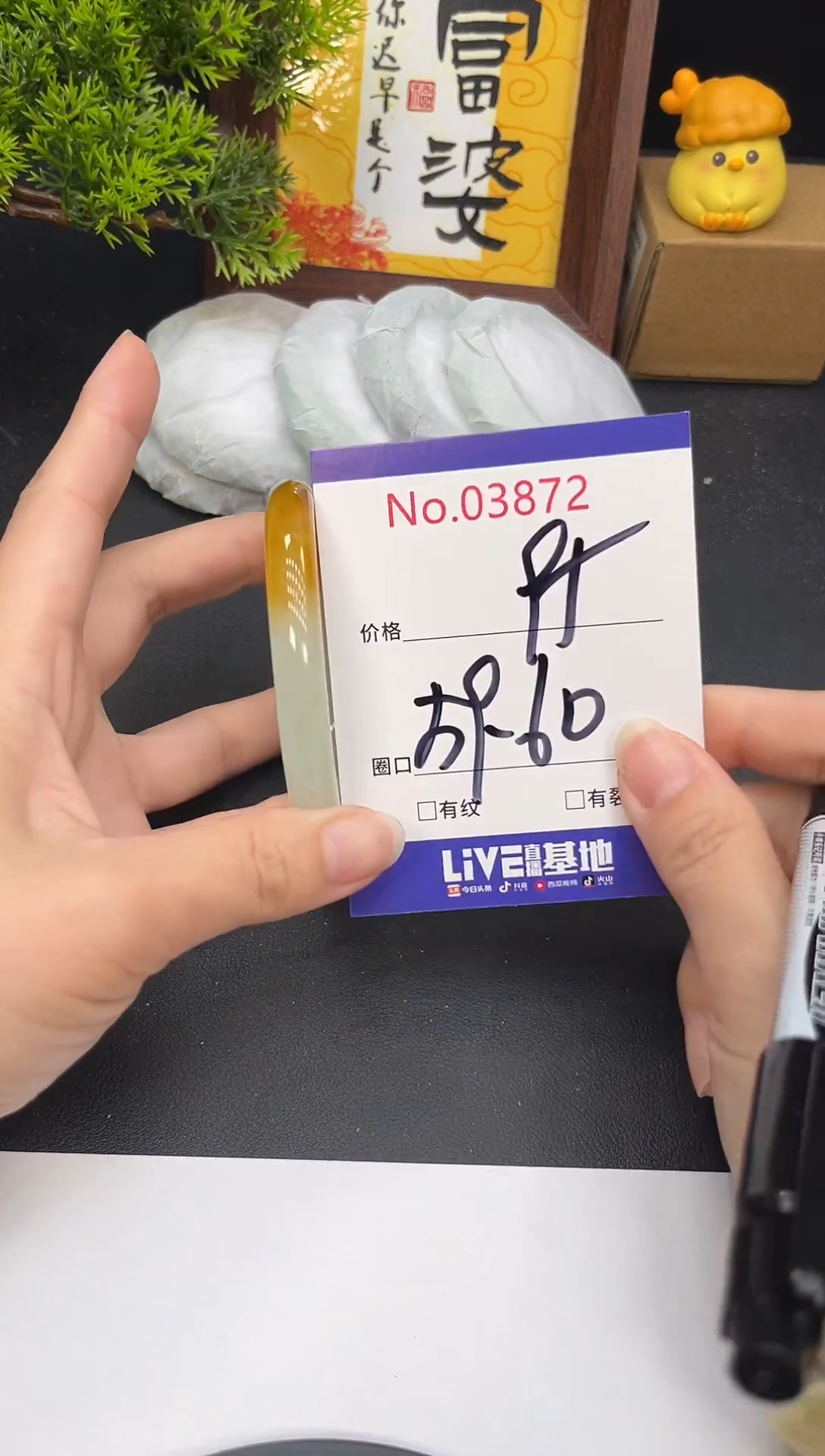 未镶嵌手镯翡翠3872