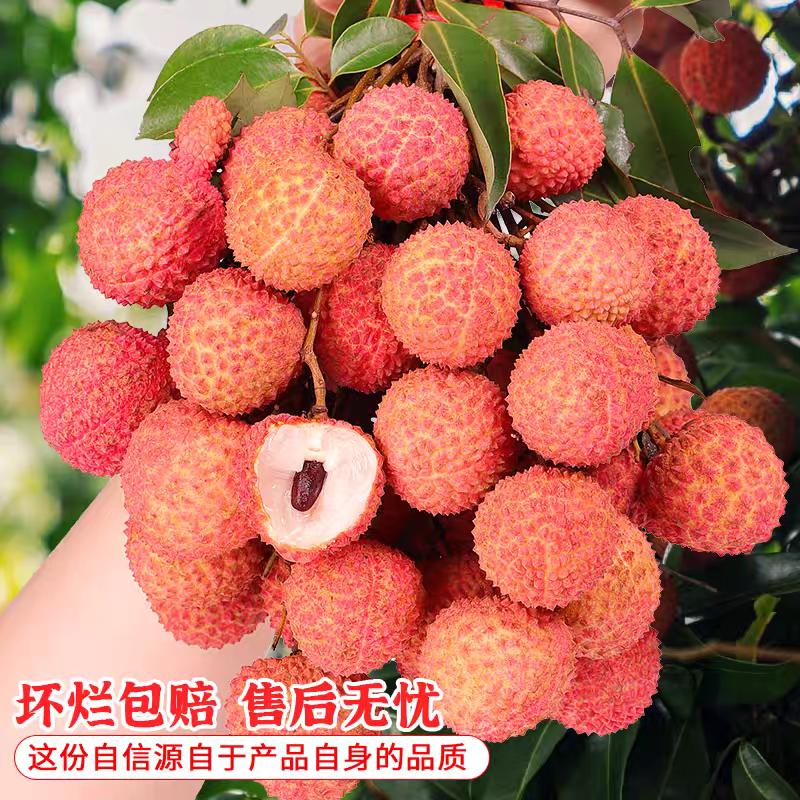 D2【中通生鲜冷链】现摘新鲜桂味老树荔枝带箱5斤鲜甜广西当季水果