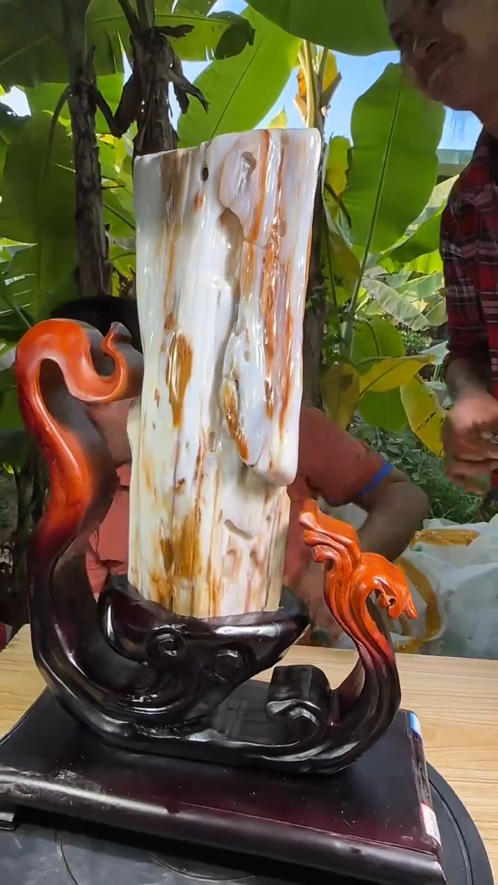 【闪购商品】硅化玉珠宝奇石未镶嵌拍一发一