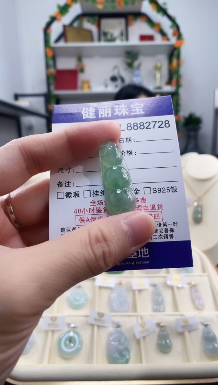 颈饰未镶嵌翡翠天然缅甸翡翠 富贵豆(一物一证)