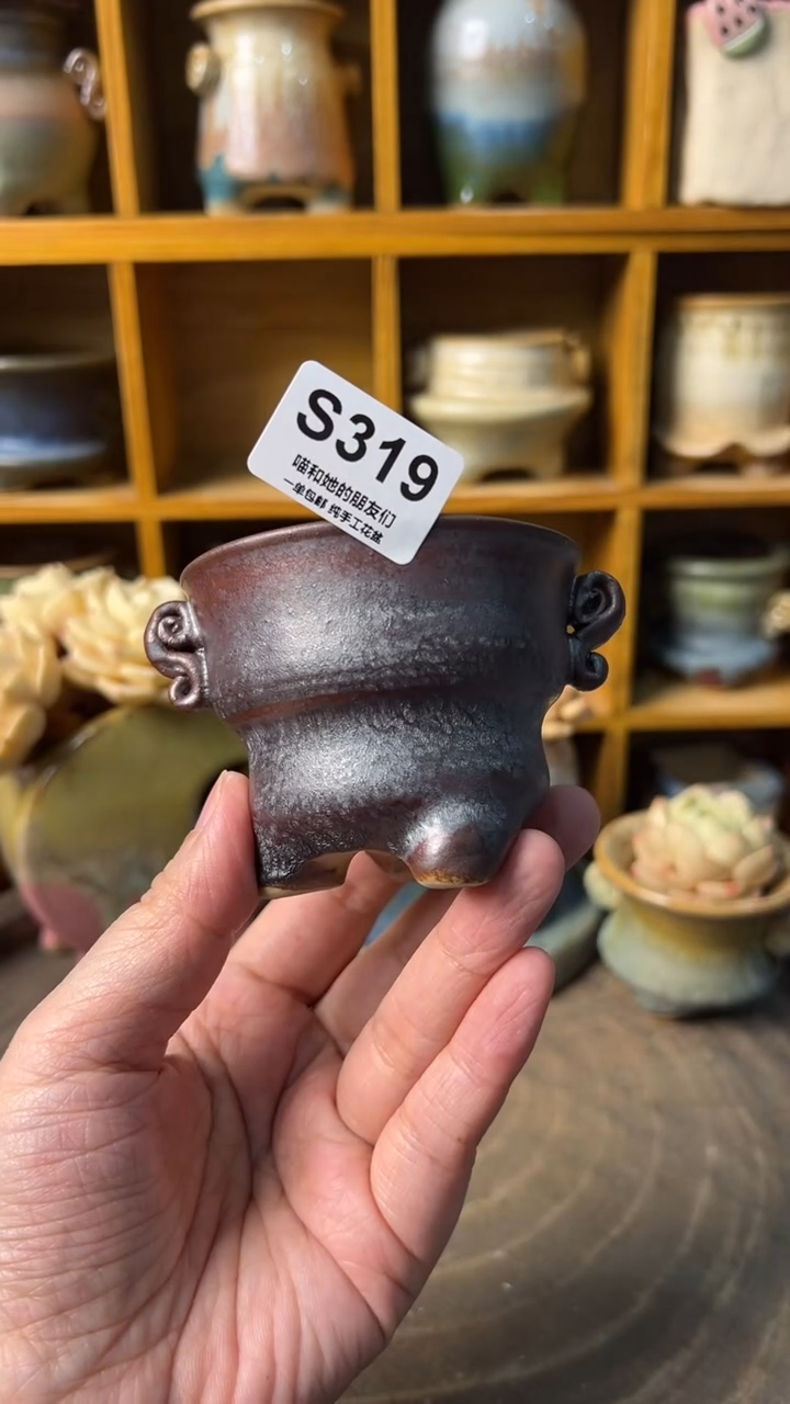 319 内口6【多肉花盆多肉盆】