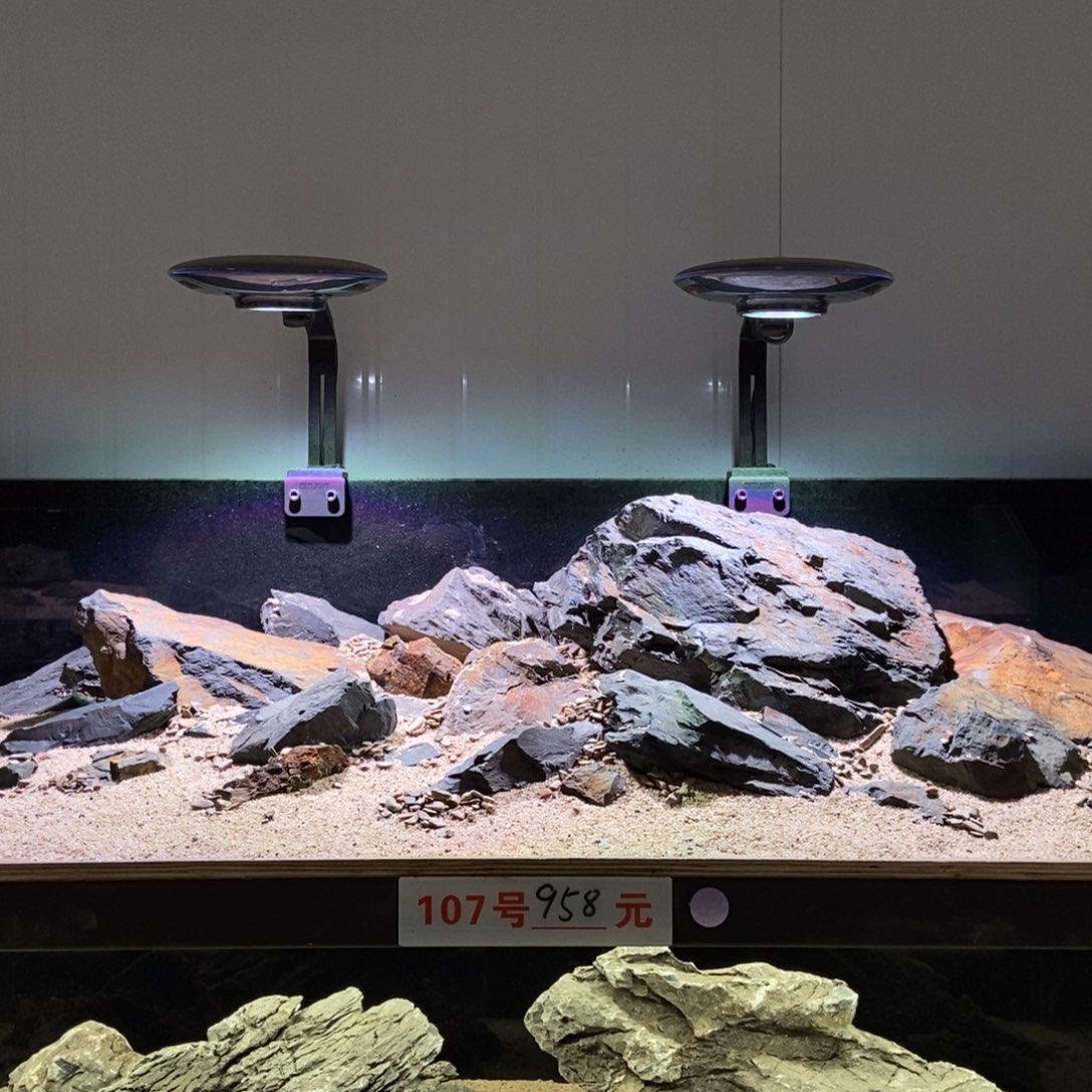 SHENCHUAN深川造景直播间专用链接