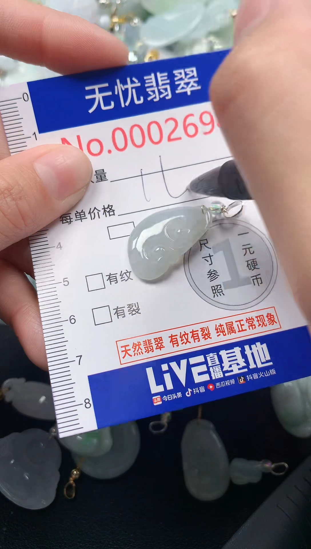 颈饰未镶嵌翡翠2694