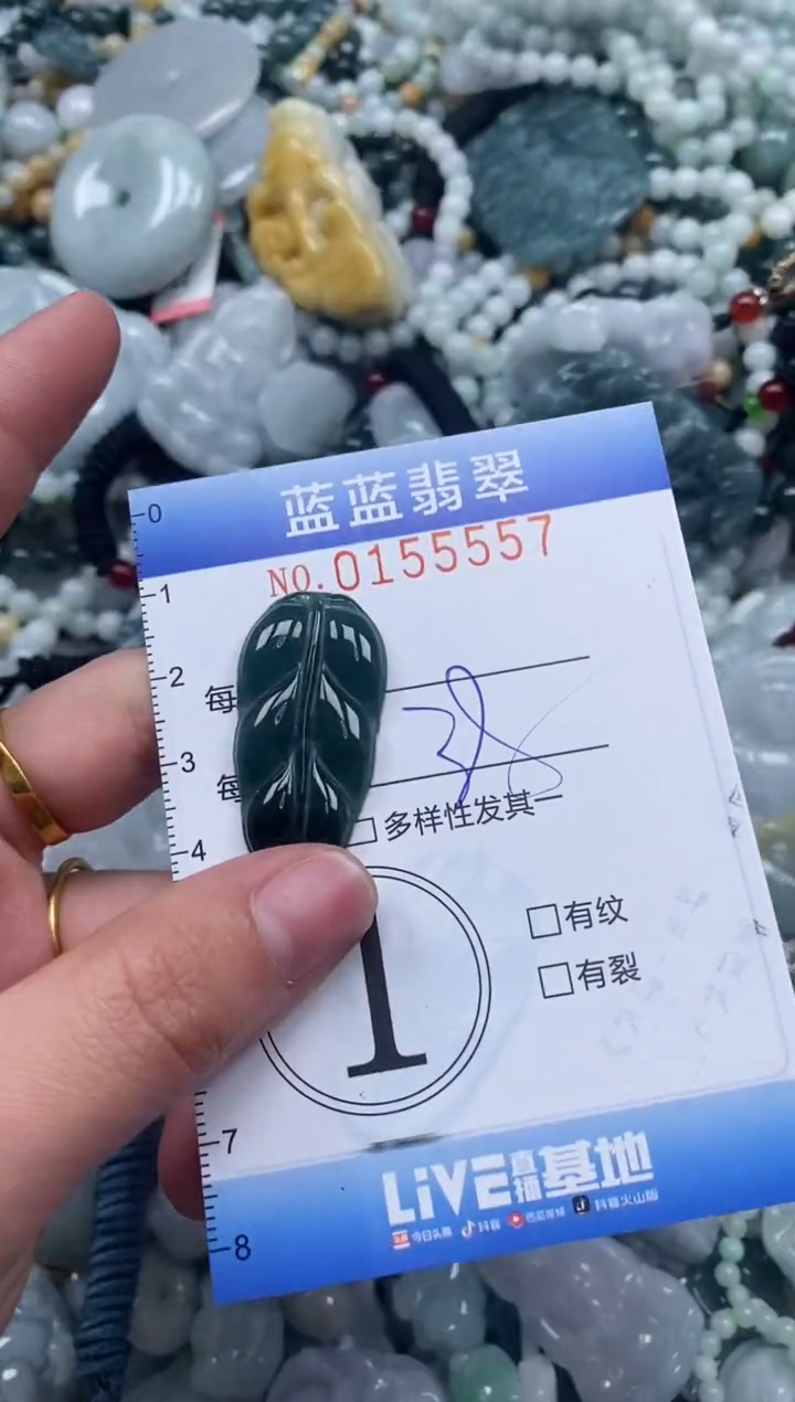 【闪购商品】翡翠颈饰未镶嵌闪购0155557