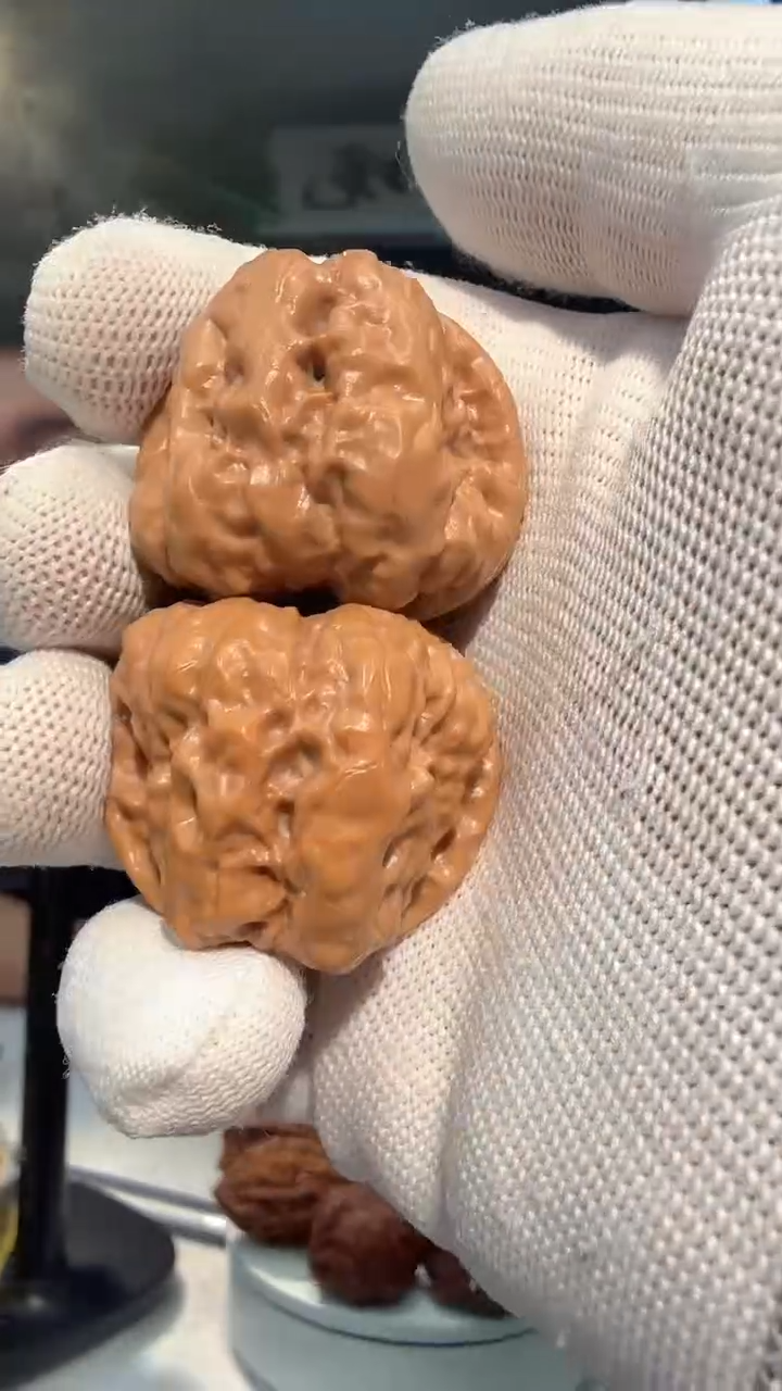 把件龙脊菩提011  蛤蟆38-41