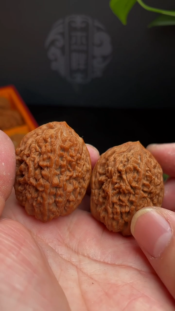 【闪购商品】文玩核桃把件37尺大蒜头