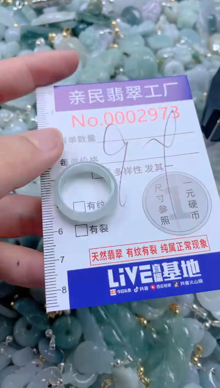 翡翠未镶嵌吊坠(不含链)2973