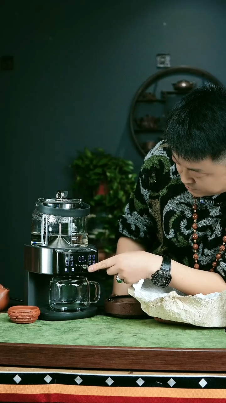 茶壶紫砂h13煮茶神器