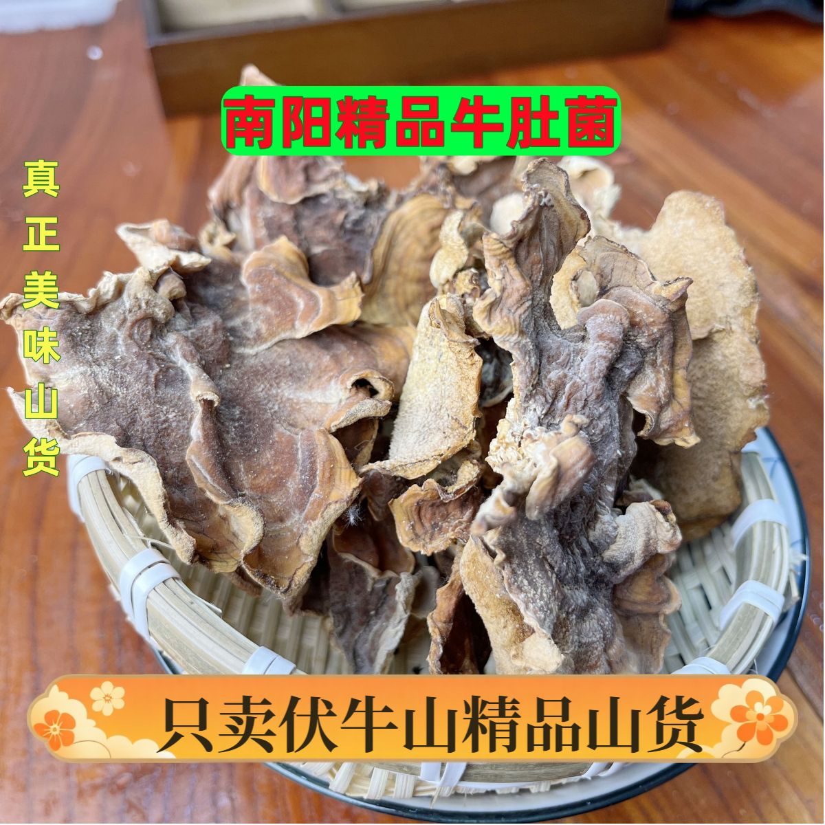 伏牛山农家牛肚菌真干食用菌营养美味肉感煲汤宝天曼山货