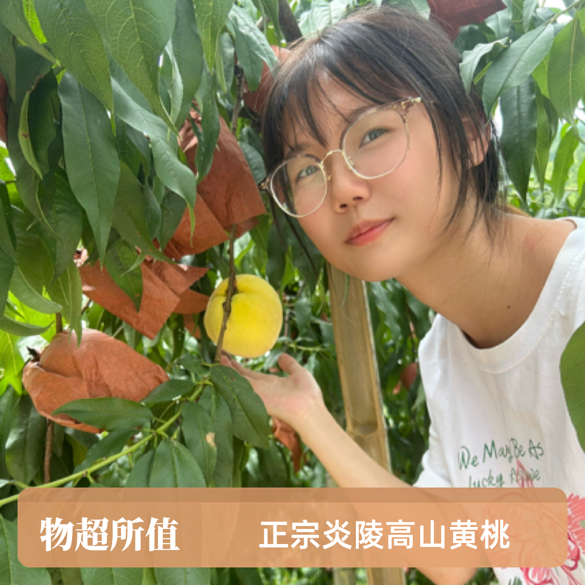 【顺丰全国包邮】10.5斤自家正宗炎陵高山黄桃新鲜采摘