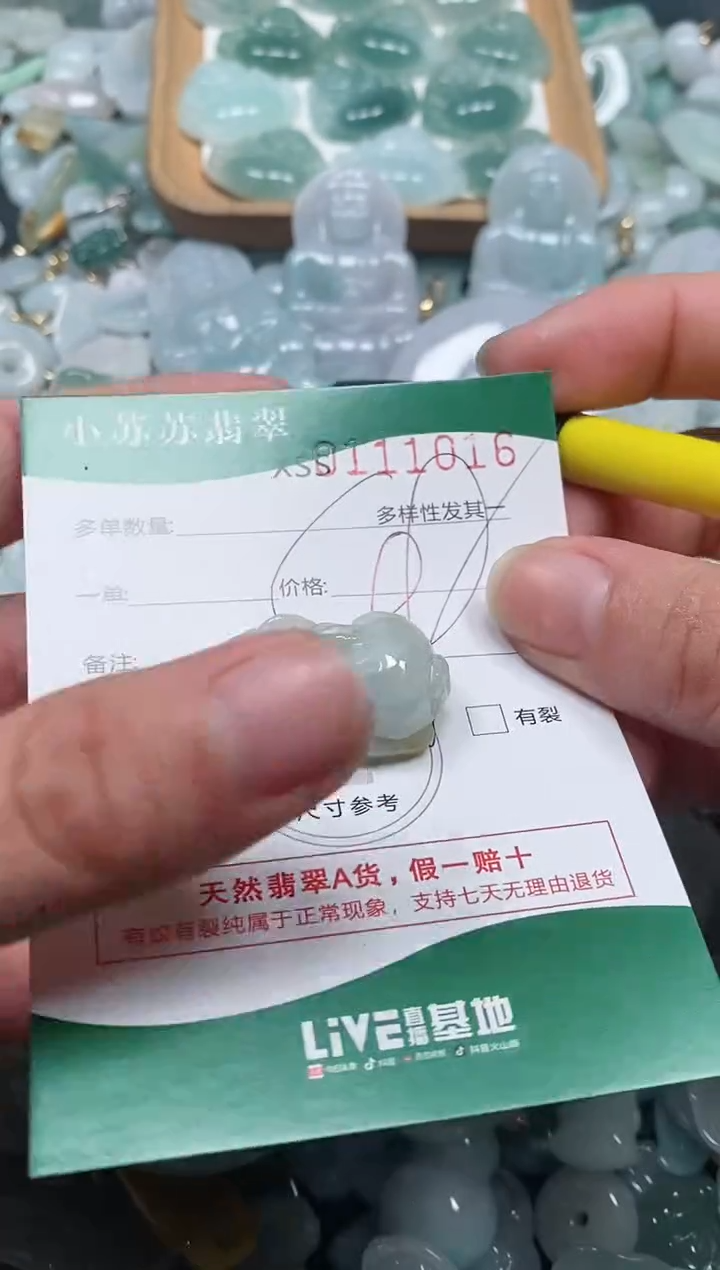 【闪购商品】翡翠颈饰未镶嵌闪购商品0111016