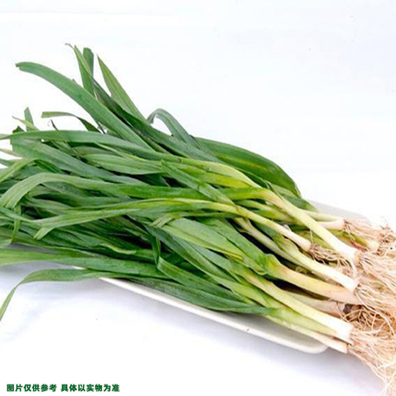 【新鲜】青大蒜约200g±20g/份