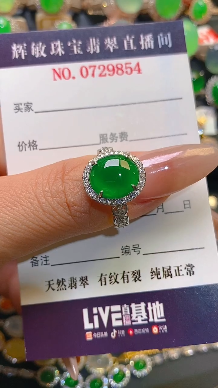 【闪购商品】翡翠耳饰银S925镶嵌天然A货翡翠1