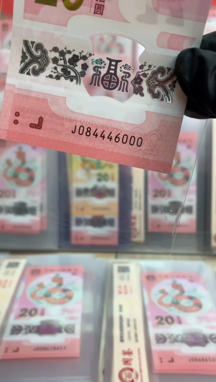 【闪购商品】塑料蛇钞 真钞【单张】4446000