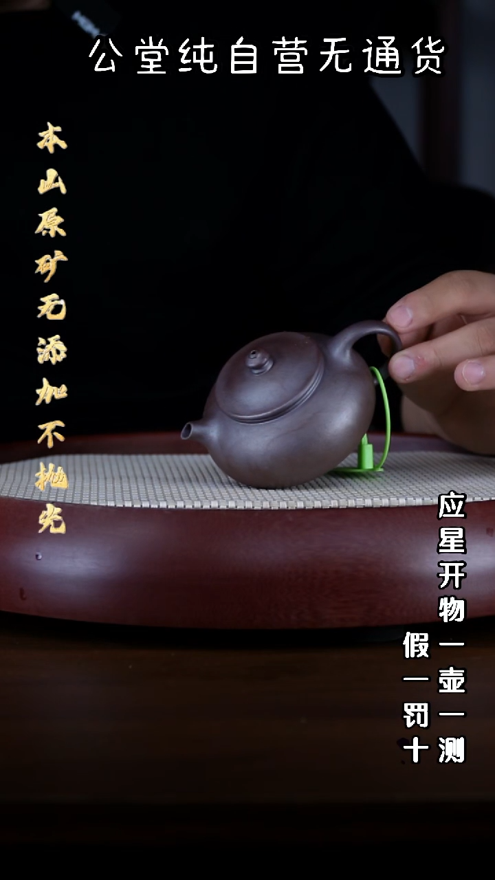 茶壶紫砂瑶宝 黑紫泥寒江