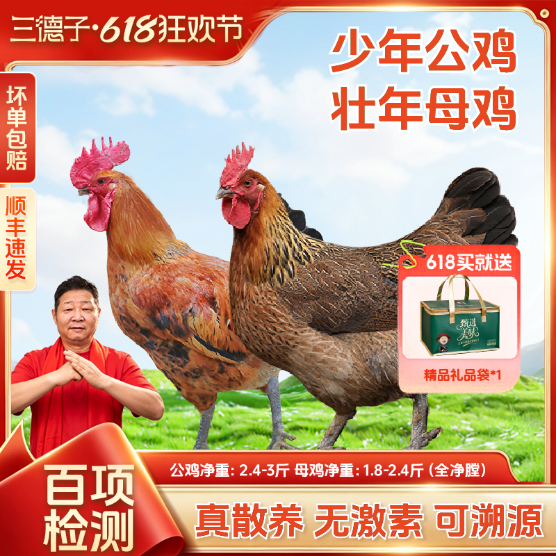 三德子【少年公鸡+母鸡】公鸡母鸡生态土鸡过节送礼礼盒商品图