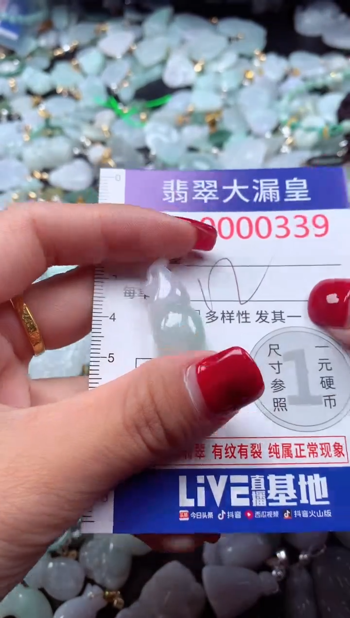 颈饰未镶嵌翡翠339