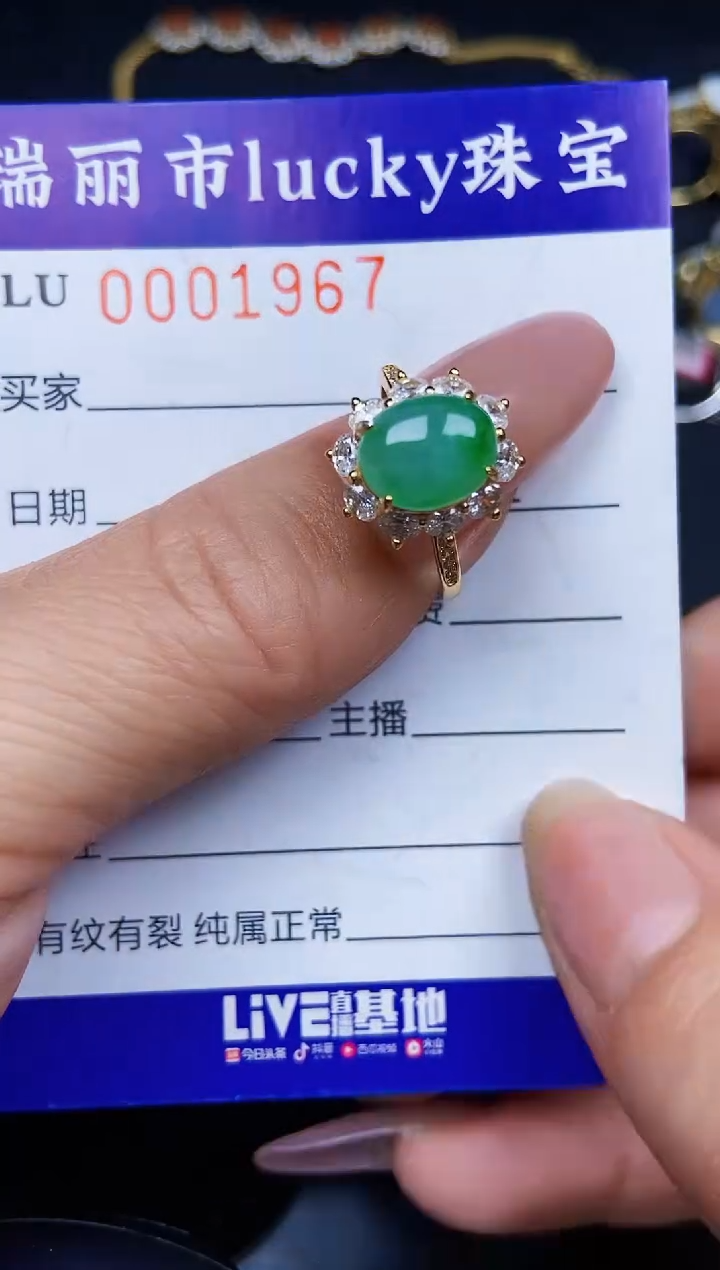 翡翠银S925镶嵌颈饰1967