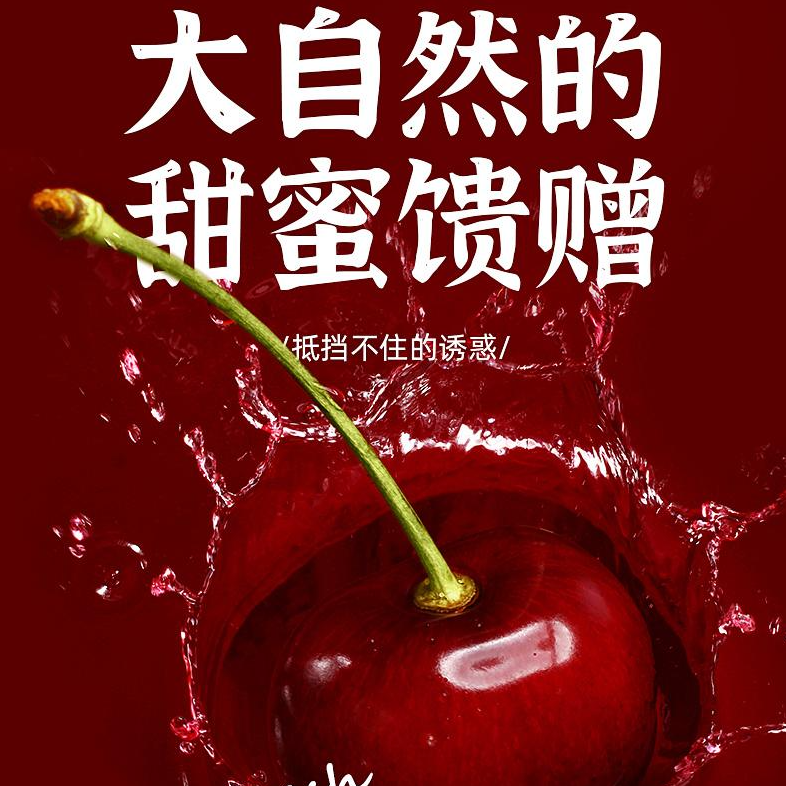 XQ1【SF/JD包邮】车厘子2-4JD海运进口桑提娜新鲜多汁5斤内附果径卡