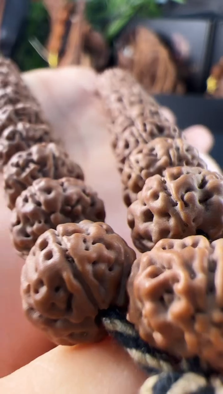 金刚菩提手串定制级勿里达老树王手持11mm左右+礼盒