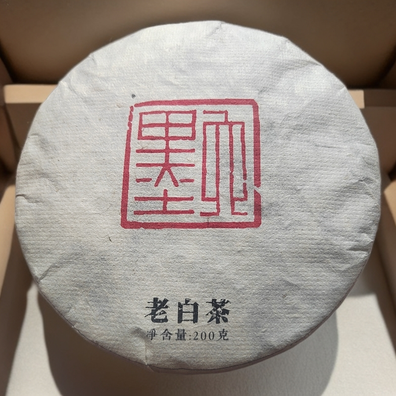 云南普洱老白茶忙肺正山头春头采茶叶饼茶严选山韵
