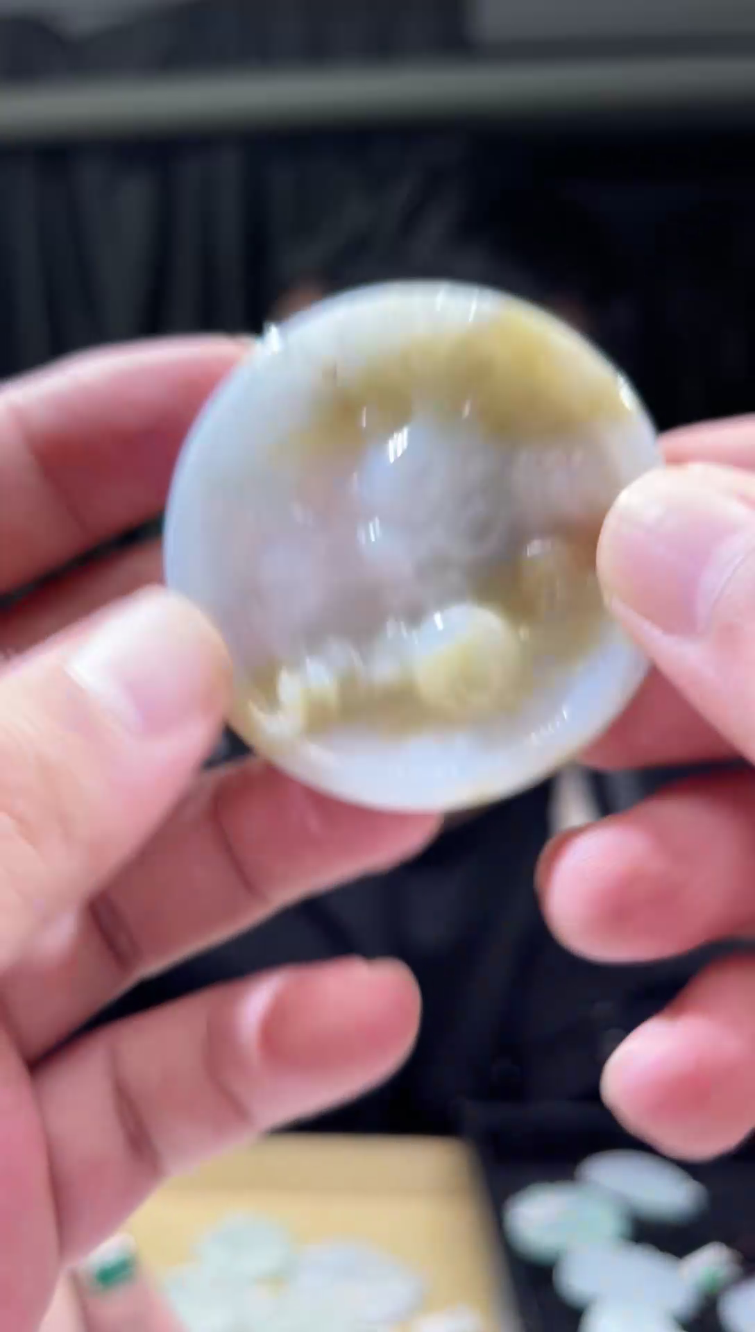 【闪购商品】翡翠颈饰未镶嵌天然翡翠(多样性发)龙牌