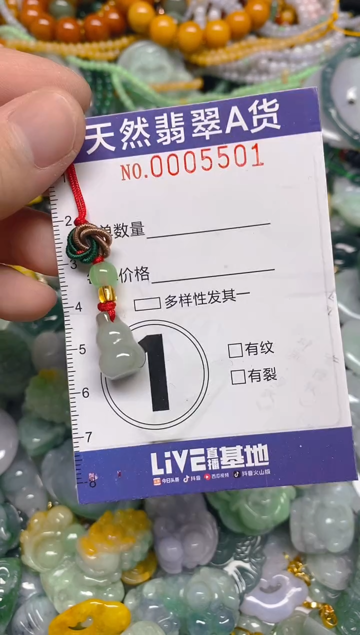 颈饰未镶嵌翡翠0005501多样性发其一