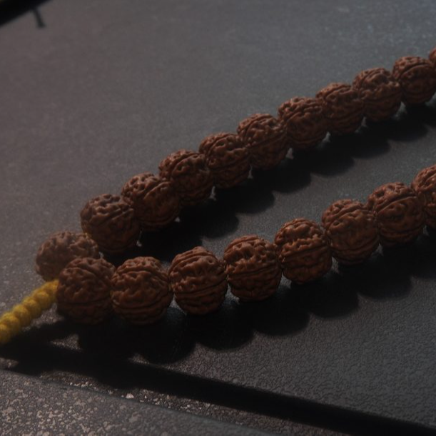 乌里达 纯血 原生态 老树王 小金刚手持单圈 支持下水 无滚无泡