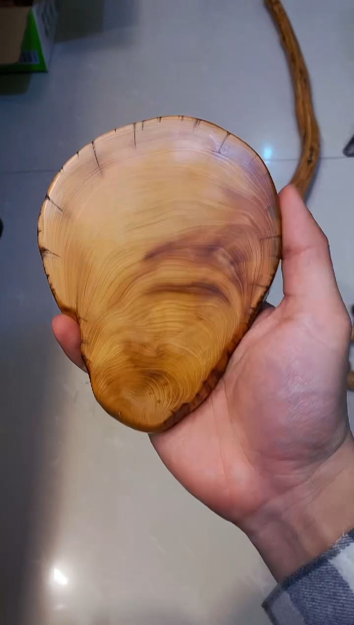 【闪购商品】柏木57崖柏崖柏崖柏崖柏崖柏