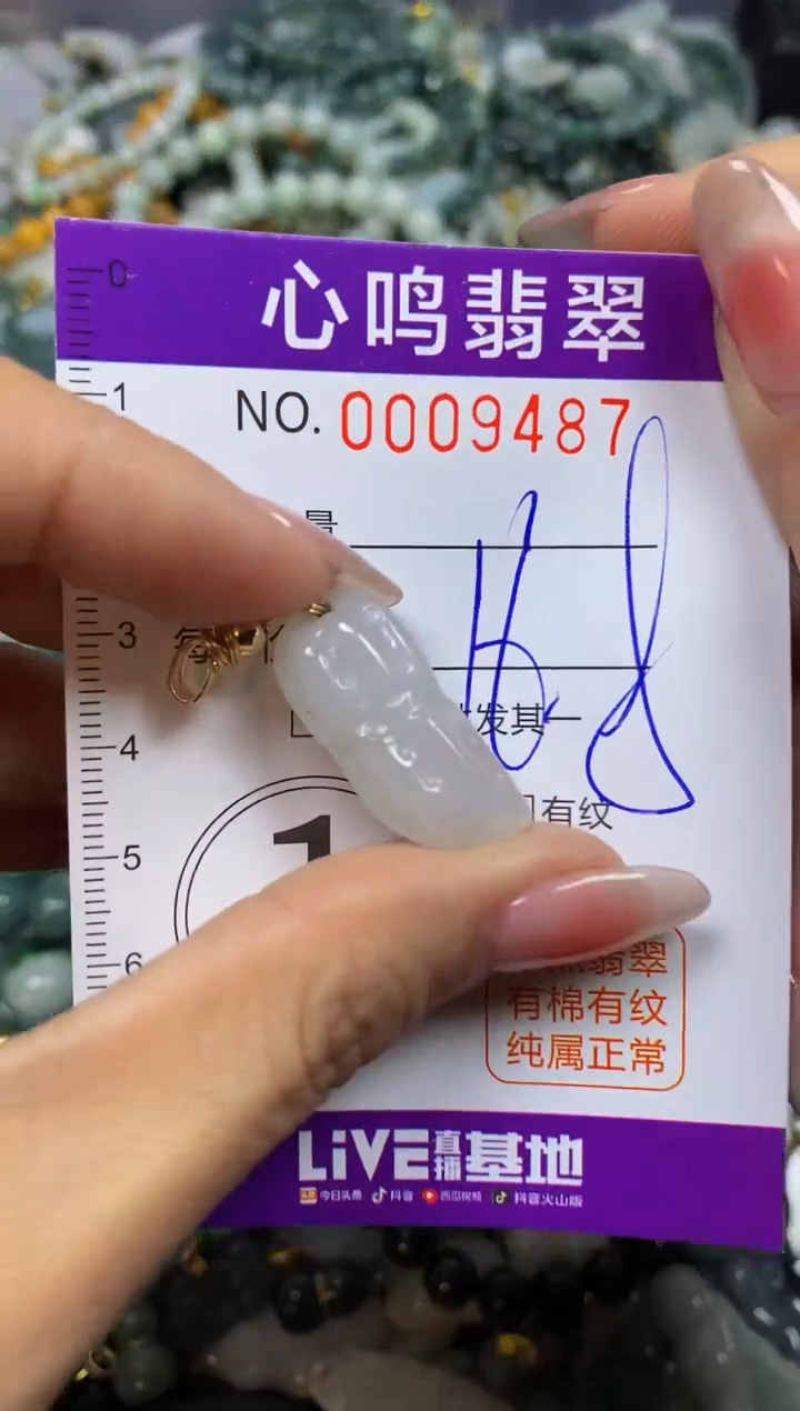 【闪购商品】翡翠颈饰未镶嵌闪购009487