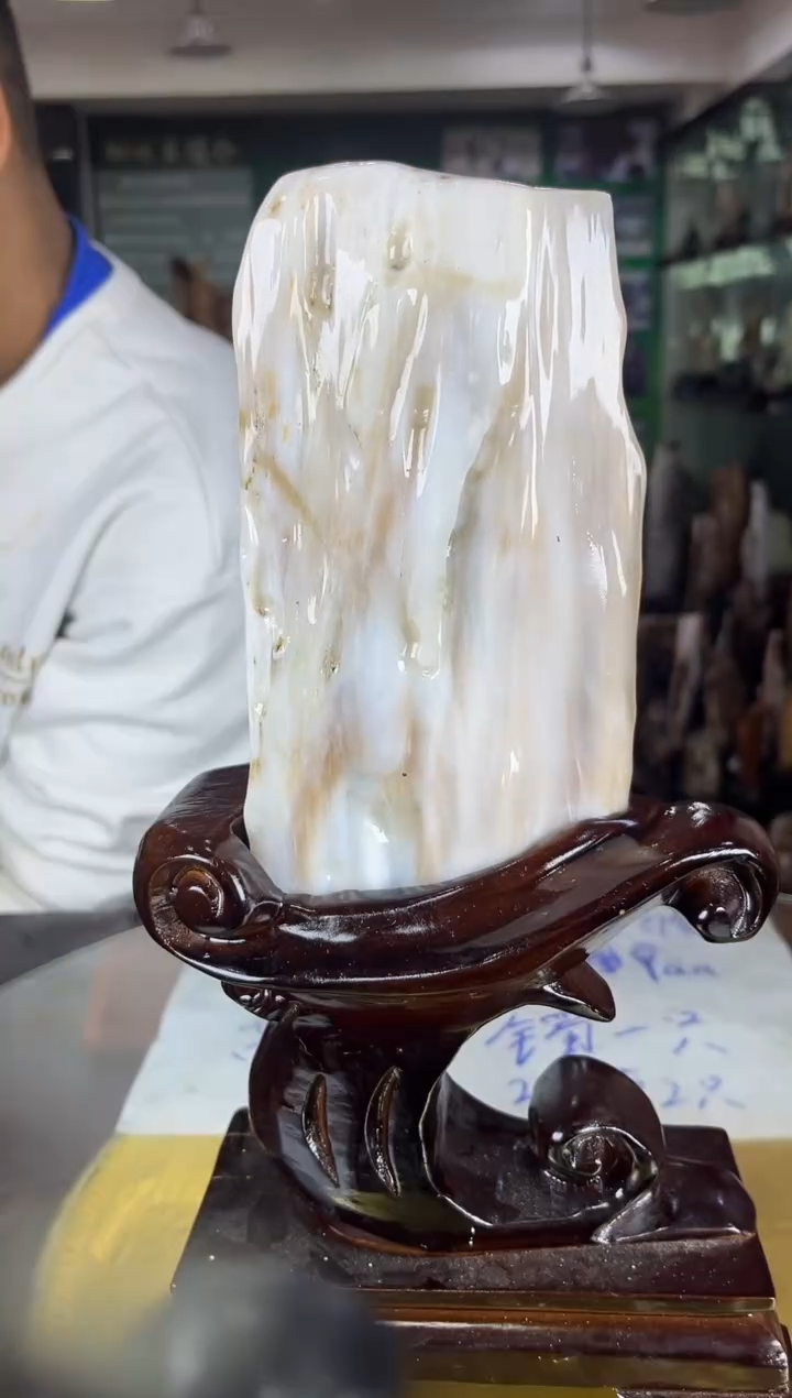 未镶嵌珠宝奇石硅化玉缅甸天然树化玉精品居家摆件