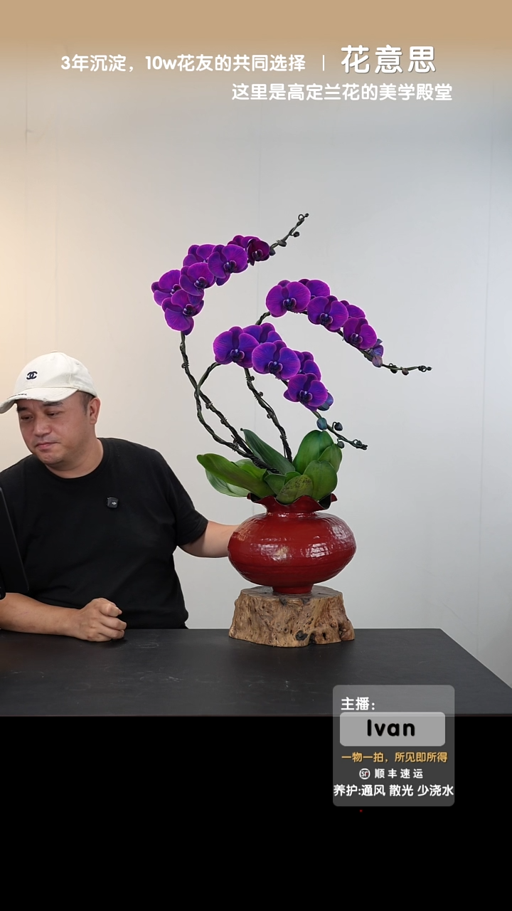 全部花朵016号链接【一物一拍】艺术盆景