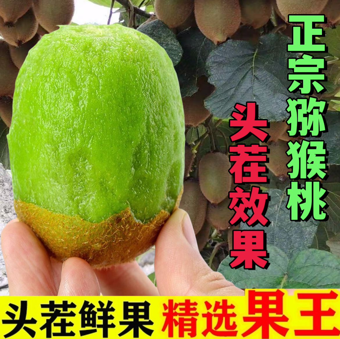 【新鲜采摘】绿心猕猴桃新鲜应季水果绿心奇异果水嫩多汁