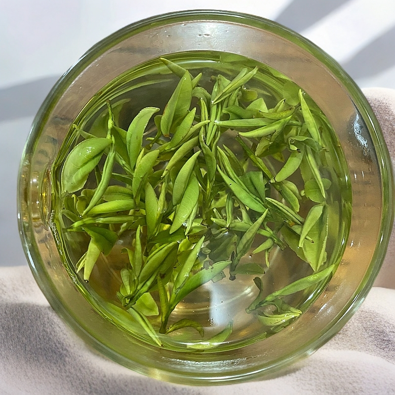 2025新茶霍山黄芽传统工艺花香型高山绿茶茶叶