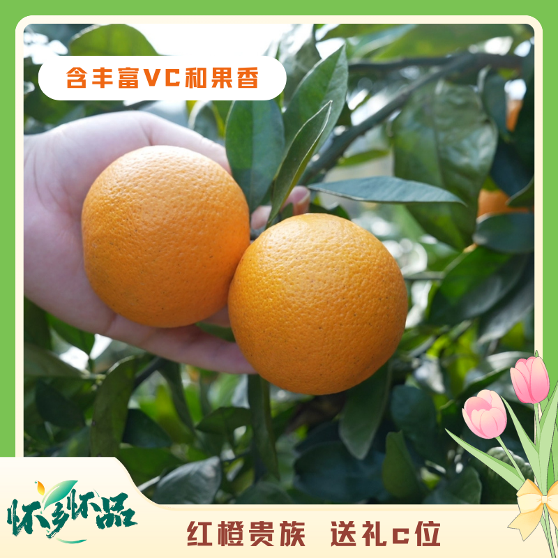 湖南麻阳【锦红冰糖橙】纯甜爆汁橙子水果带箱子