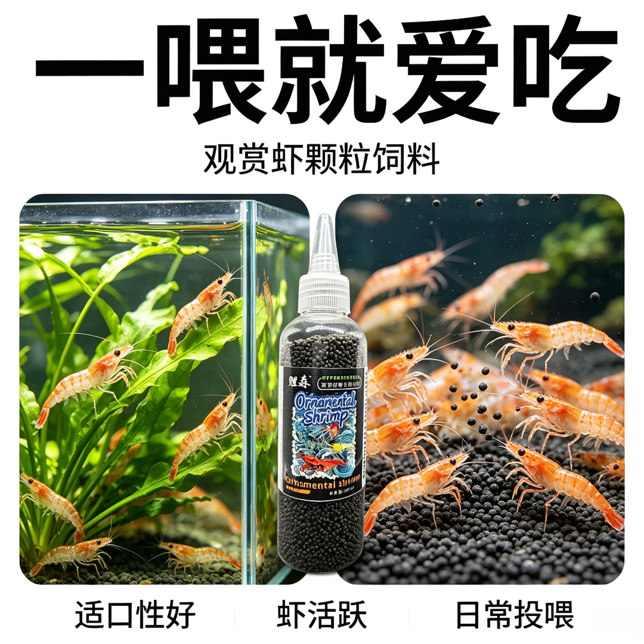 观赏虾高蛋白饲料水晶虾极火樱花虾粮促生长易摄食尖嘴瓶装