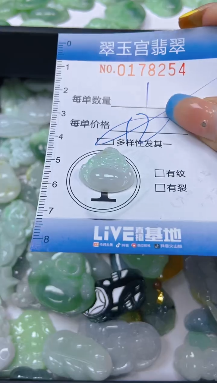 翡翠未镶嵌颈饰闪购0178254多样性发其一