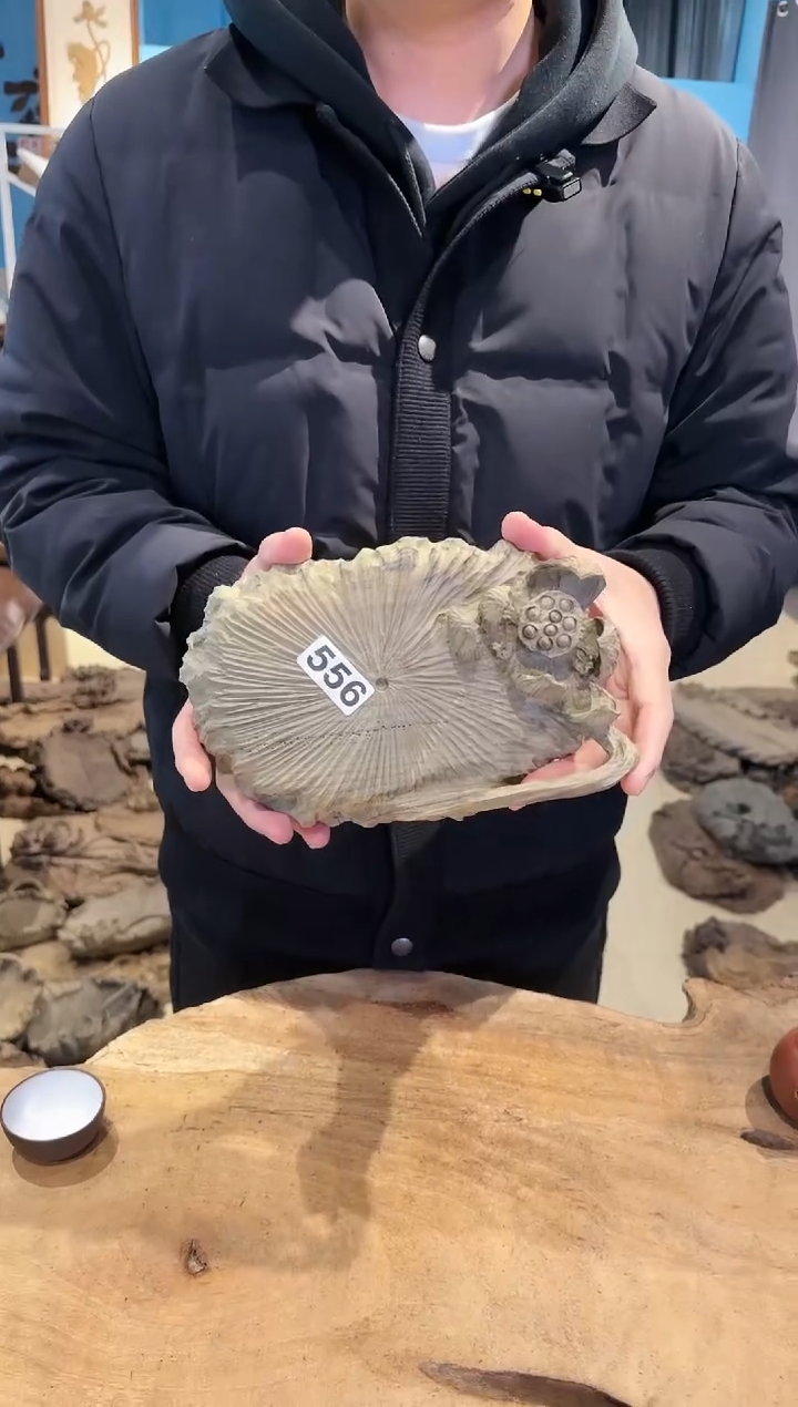 木556号乌木金丝楠壶承