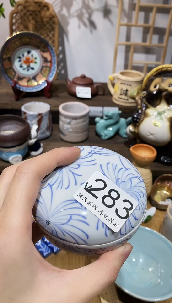 瓷片流**地闪购专用链接