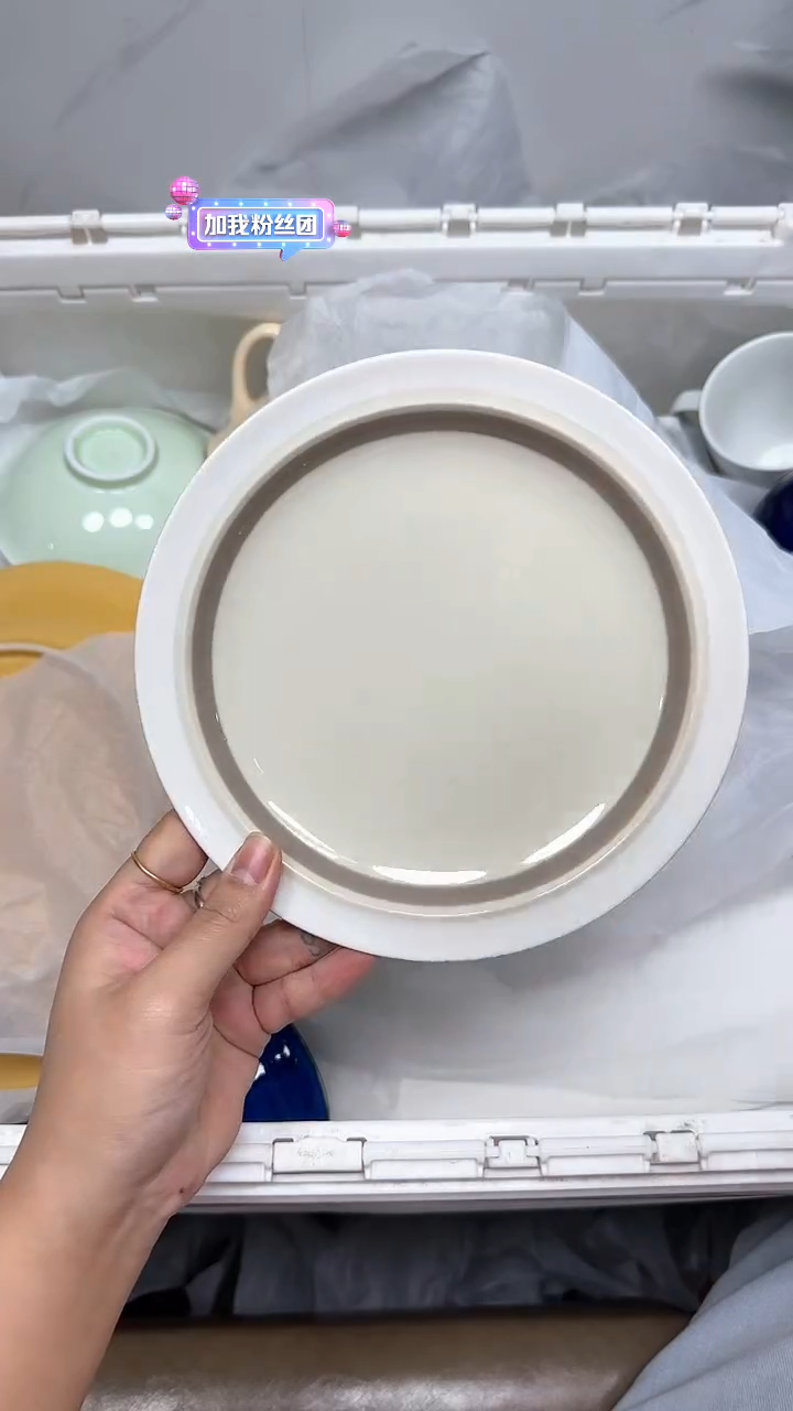 【闪购商品】495回流瓷器默认微瑕，18.8包邮