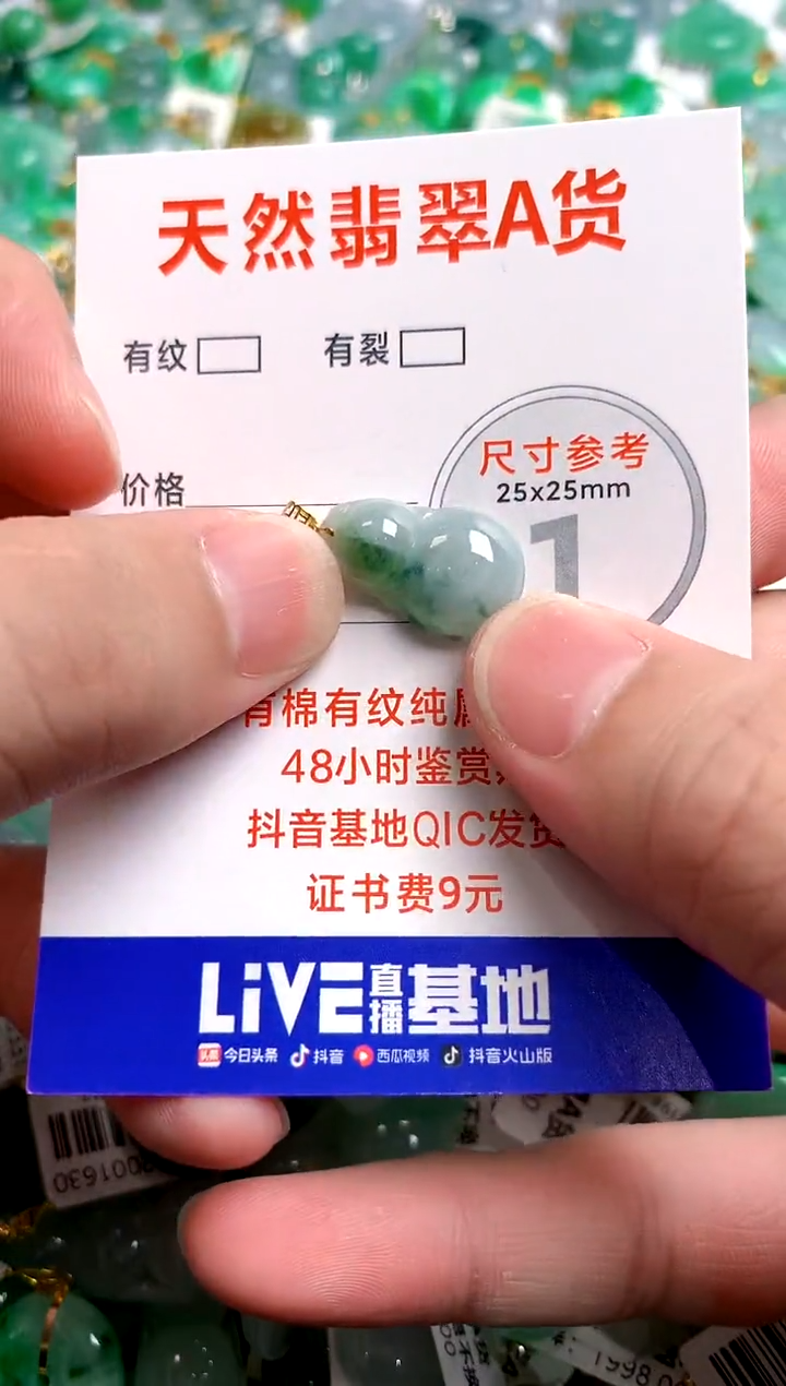 翡翠18K金镶嵌颈饰26100988